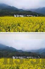 黄色成人小视频-黄色成人小视频，网络文化的灰色地带与影响