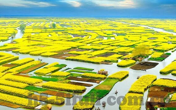 麻豆视传媒短视频网站 -入口-走进麻豆视传媒——探索短视频新世界的门户