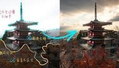 麻豆视频直接看-1. 了解正当资源的信息获取渠道