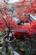 欧美一区二区三区在线-欧美一区二区三区在线，网络时代的文化交汇与信息探索