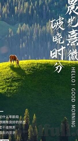 台湾星空无限传媒 麻豆-揭秘台湾星空无限传媒与麻豆的独特魅力，光影交织的创意舞台