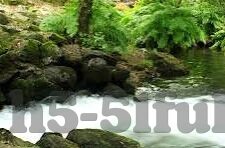 糖心vlog轻量版不更新-糖心Vlog轻量版更新之谜
