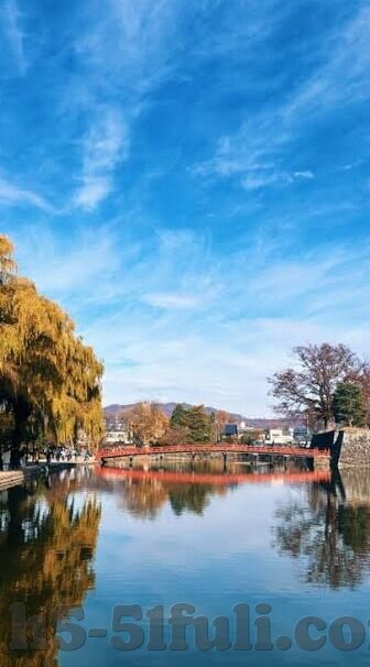 一区二区三区-区域发展新视角，一区二区三区的差异化策略与协同效应